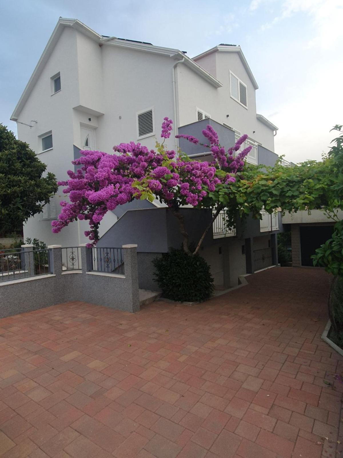 Apartment Bozovic オレビック エクステリア 写真
